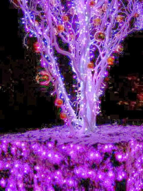 Purple Christmas Lights | Fantastic Materials