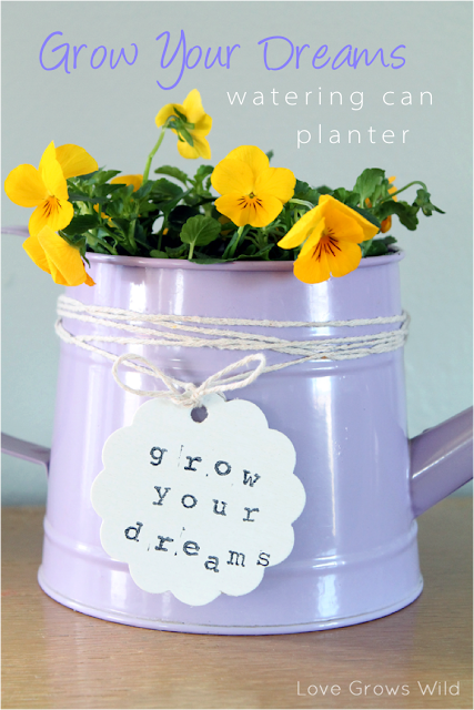 Watering Can Planter by Love Grows Wild for Occasionally Crafty #spring #diy #flowers #grow