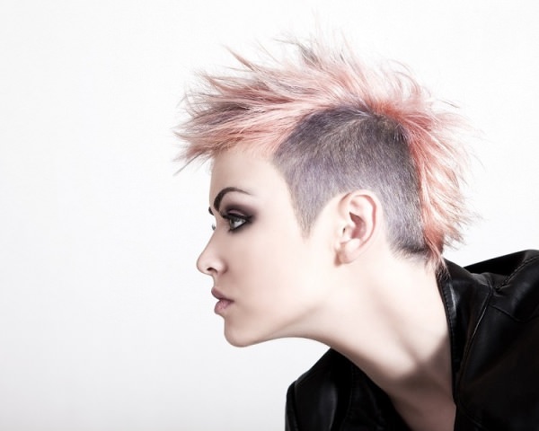 Punk Hairstyles Punk Hairstyles