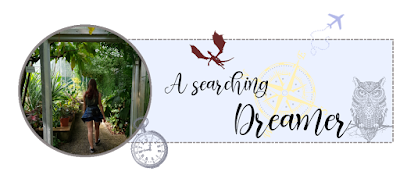 A searching Dreamer