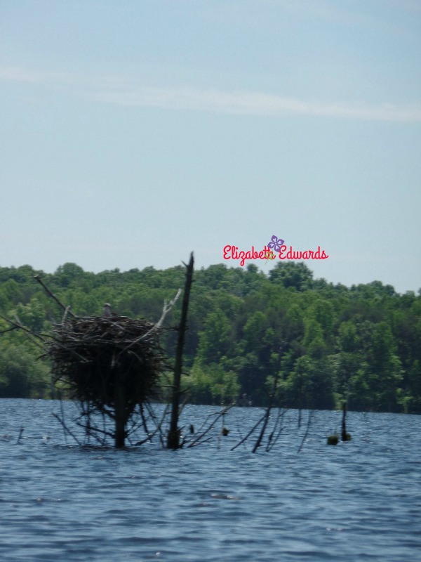 Briery Creek Lake, Farmville, Virginia