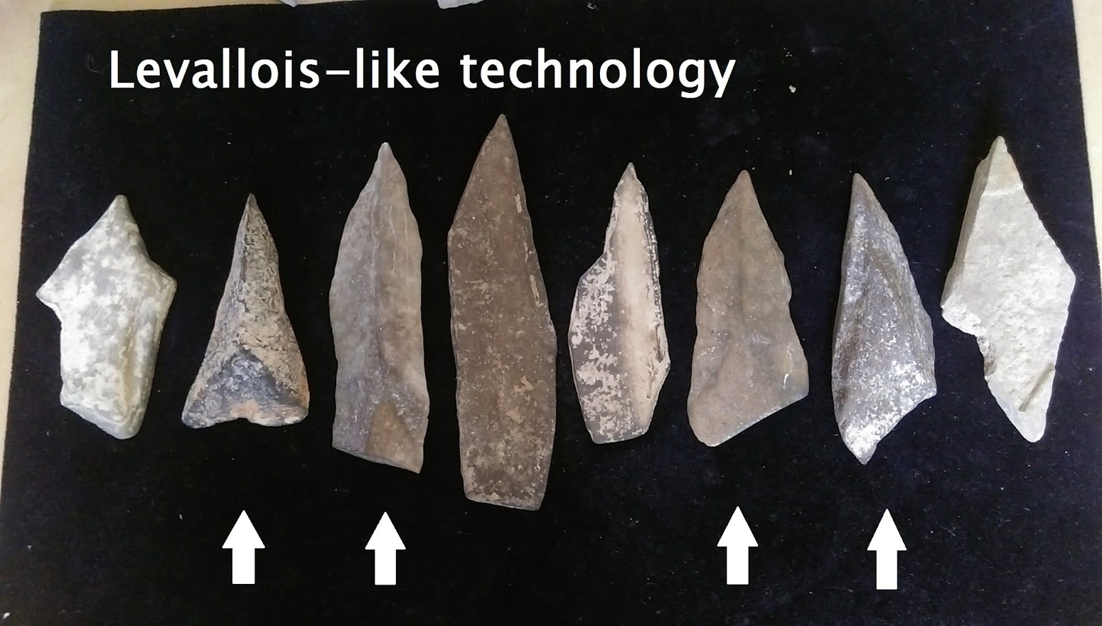 Archaeology of Portable Rock Art Arkfeld Site bird form chopper tool