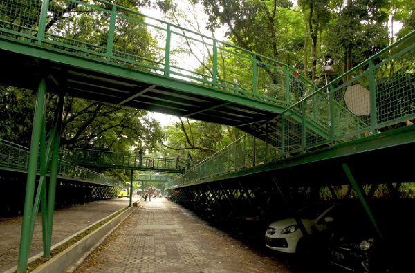 foto wisata forest walk babakan siliwangi bandung foto wisata forest walk babakan siliwangi bandung