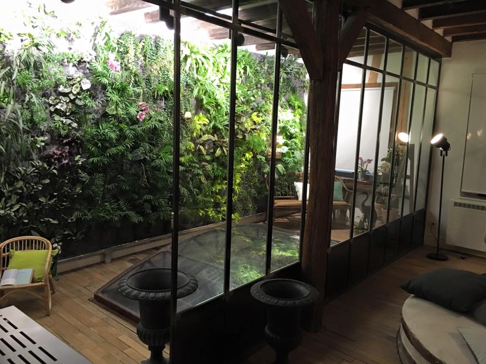 DANS MON JARDIN D\'HIVER - * DANS MON JARDIN D\'HIVER - *