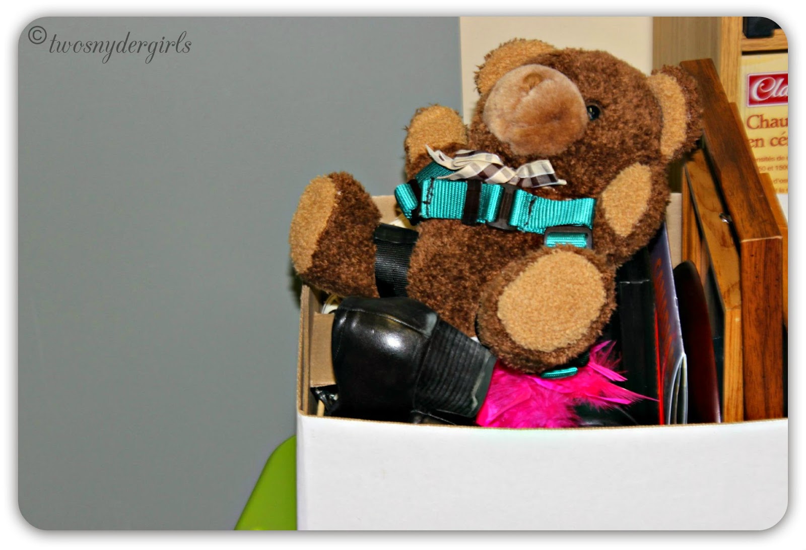 Teddy Bear in a packing box