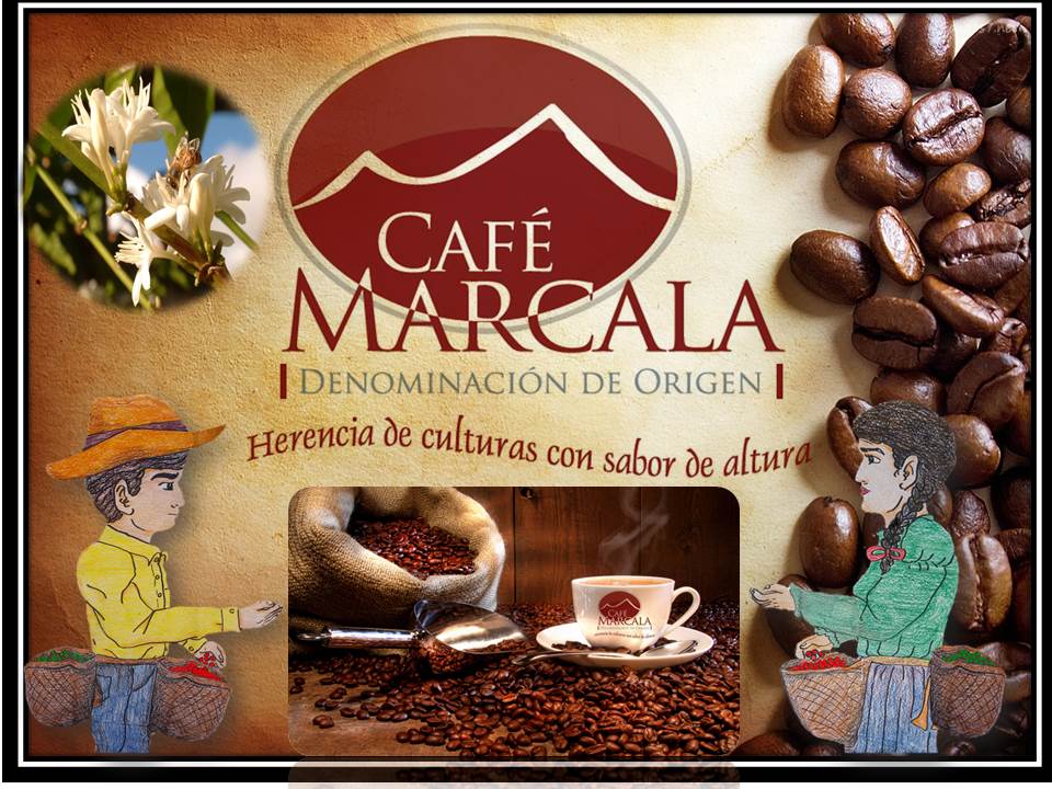 Exportando Café de Calidad