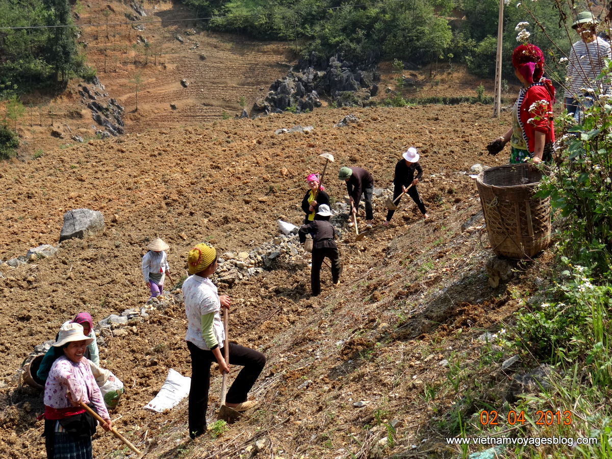 Kỳ công làm nương trên ruộng đá ở Hà Giang