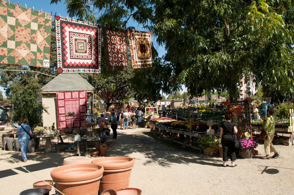 paradis express Alden Lane Nursery