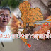 บทความสะเทือนใจชาวพุทธทั้งแผ่นดิน โดย นายกสมาคมทางสายกลาง #ข้าวก้นบาตร