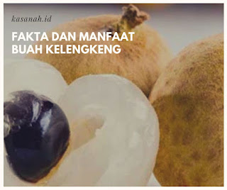 isi kelengkeng isi kelengkeng