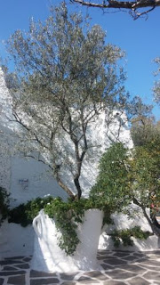 Casa Museo Dalí de Portlligat, Cadaqués. Casa Museo Dalí de Portlligat, Cadaqués.