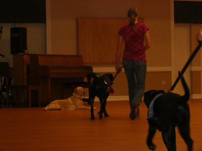 Picture of Rudy & I doing forward; there is also a dog laying down on the left a couple feet away... and Rudy leaves her