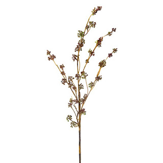 eucalyptus floral craft stem