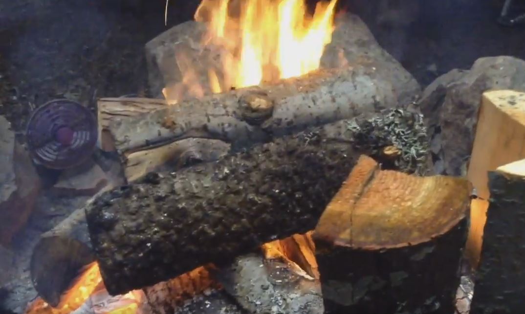 Bigfoot Encounter Stories Around The Campfire