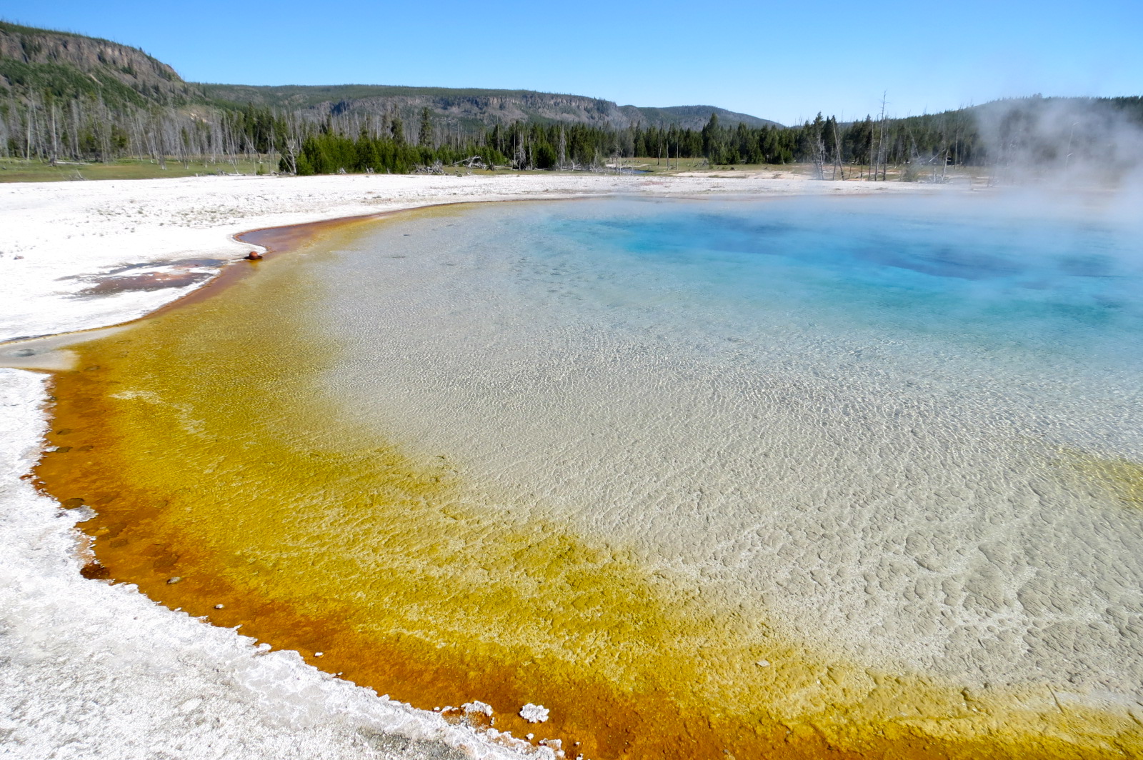 Making Waves Yellowstone National Park, Wyoming (June 2326)