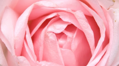 Descripción del color Rosa