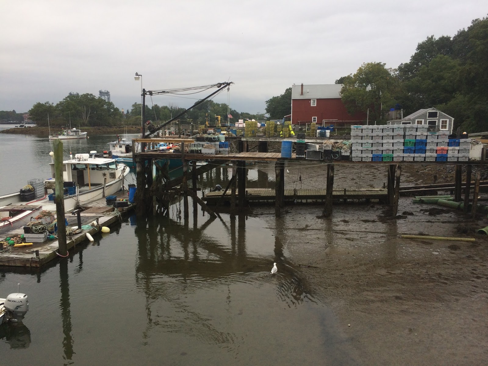 Sailing VATA Maine America's Lobster Capital