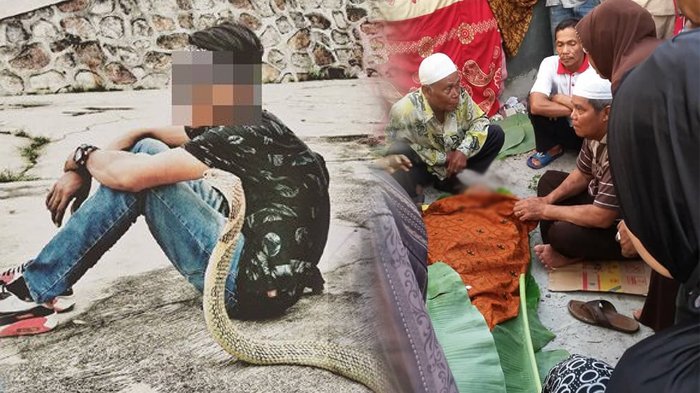 Rizki Tewas Dipatuk Ular King Kobra Jasadnya Masih Hangat dan Berkeringat