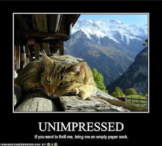 Funny Caption Pictures Funny Caption Pictures