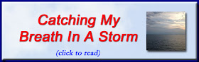 http://mindbodythoughts.blogspot.com/2014/08/catching-my-breath-in-storm.html