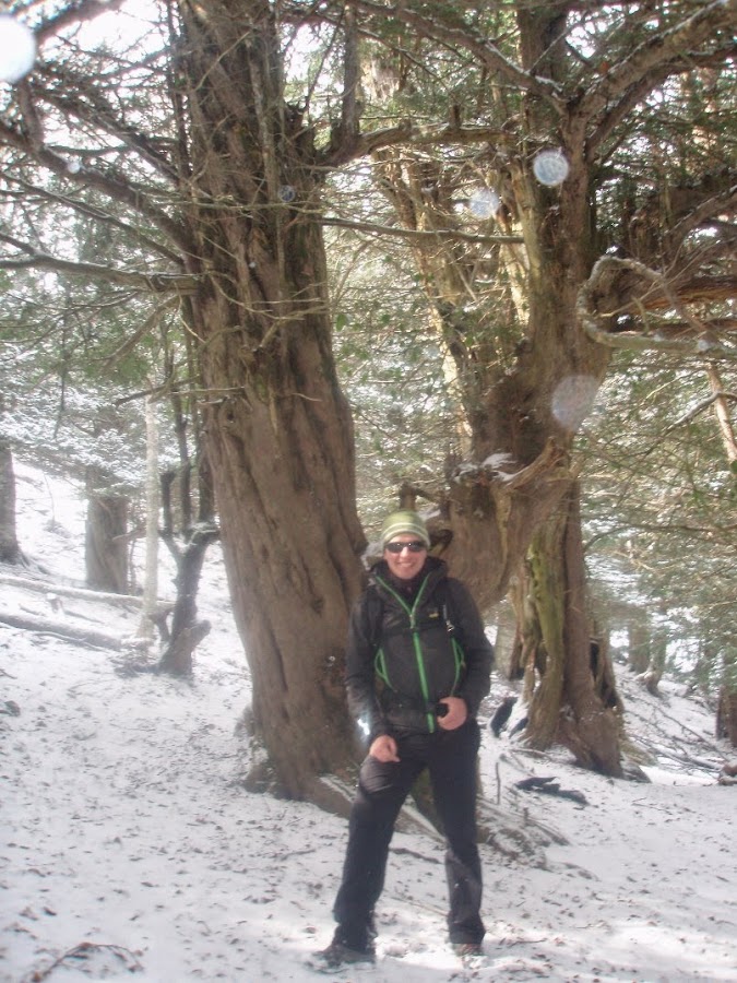 Lipe-frente-a-un-tejo-milenario-en-la-Tejeda-de-Tosande