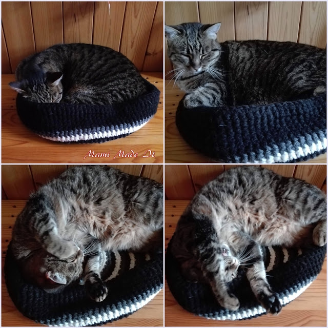 Katze im Korb - Cat Basket