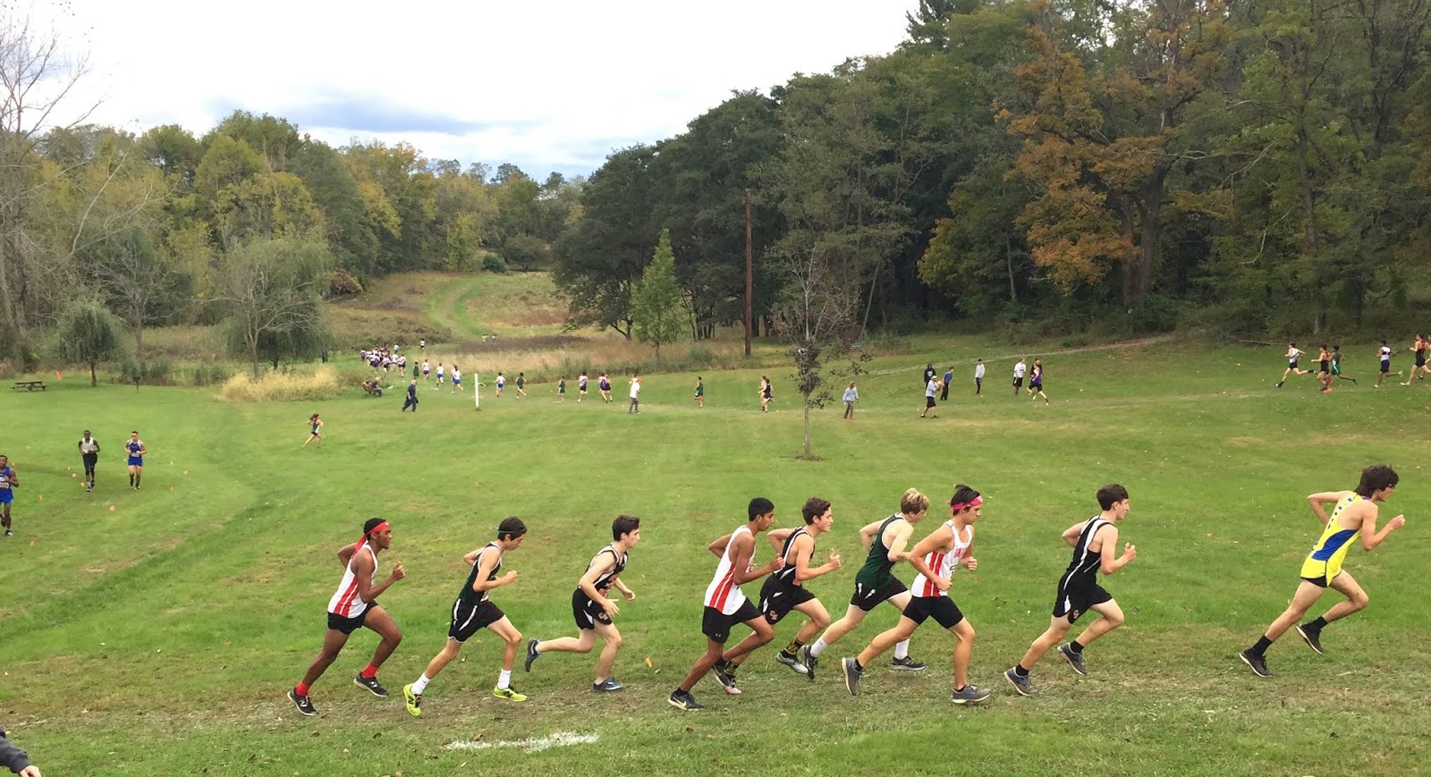 Hamilton Cross Country
