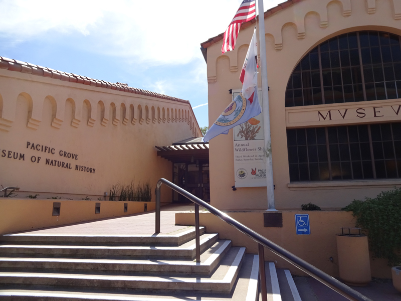 Left Field Wander Pacific Grove Natural History Museum