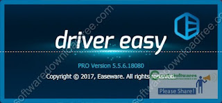drivereasy key