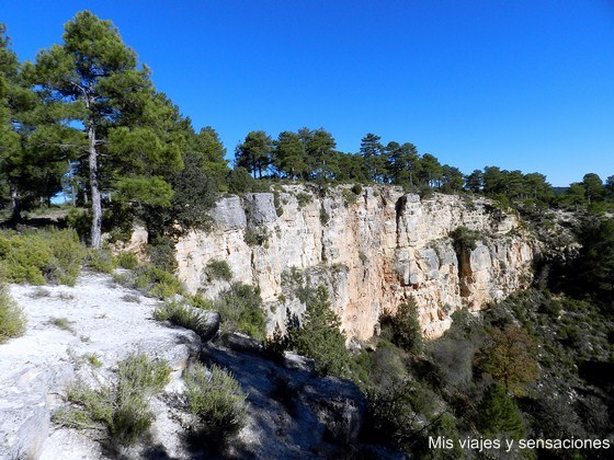 Torcazos, Cañada del Hoyo, Cuenca