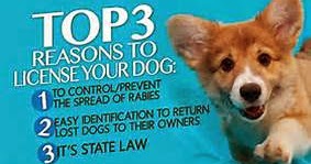 Why Your Dog Can Get Vaccinated Against >> Kingsbrook Animal Hospital's Blog: Licensing in Frederick, MD Why Your Dog Can Get Vaccinated Against >> Kingsbrook Animal Hospital's Blog: Licensing in Frederick, MD