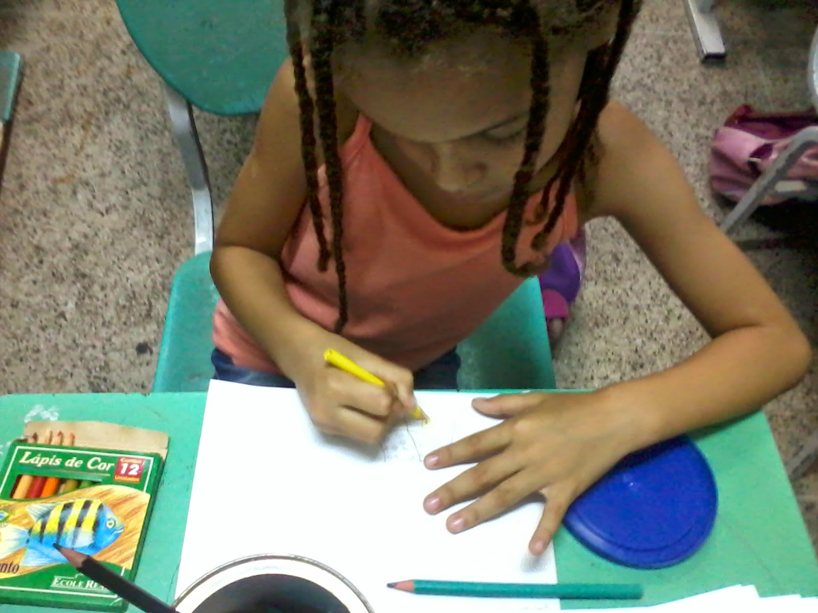 Eliana Barros - PIBID: Diários de campo