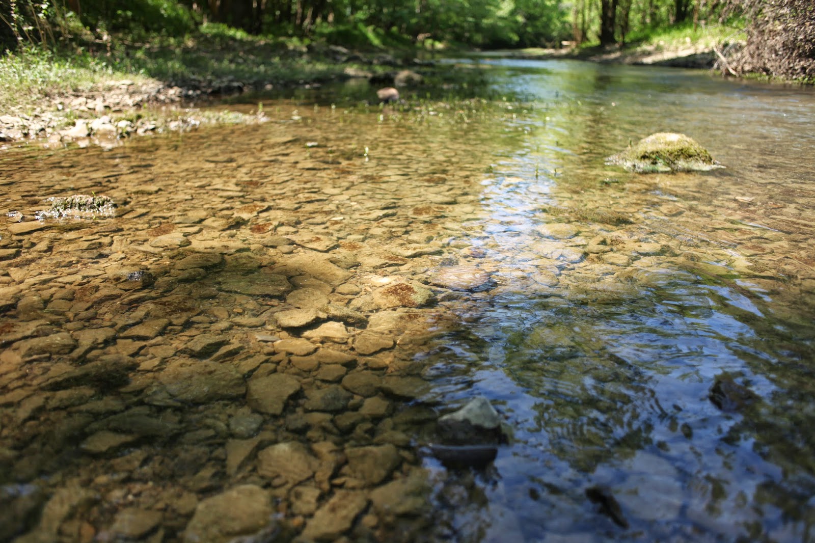 Discovering Jackson County Float the Paint Rock River