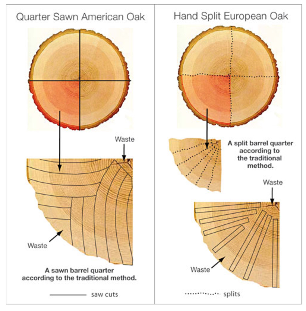 EnoViti Oak Barrel Morphology