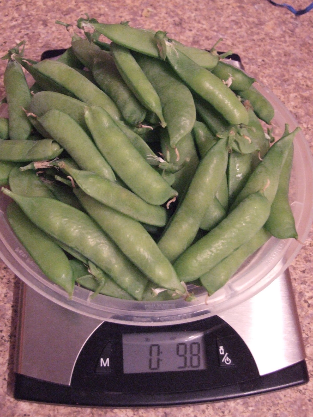 Simple Garden Made Easy Peas and Garlic