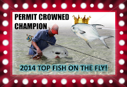 fly fisherman lined tales tight madness cheeky recap fishing march