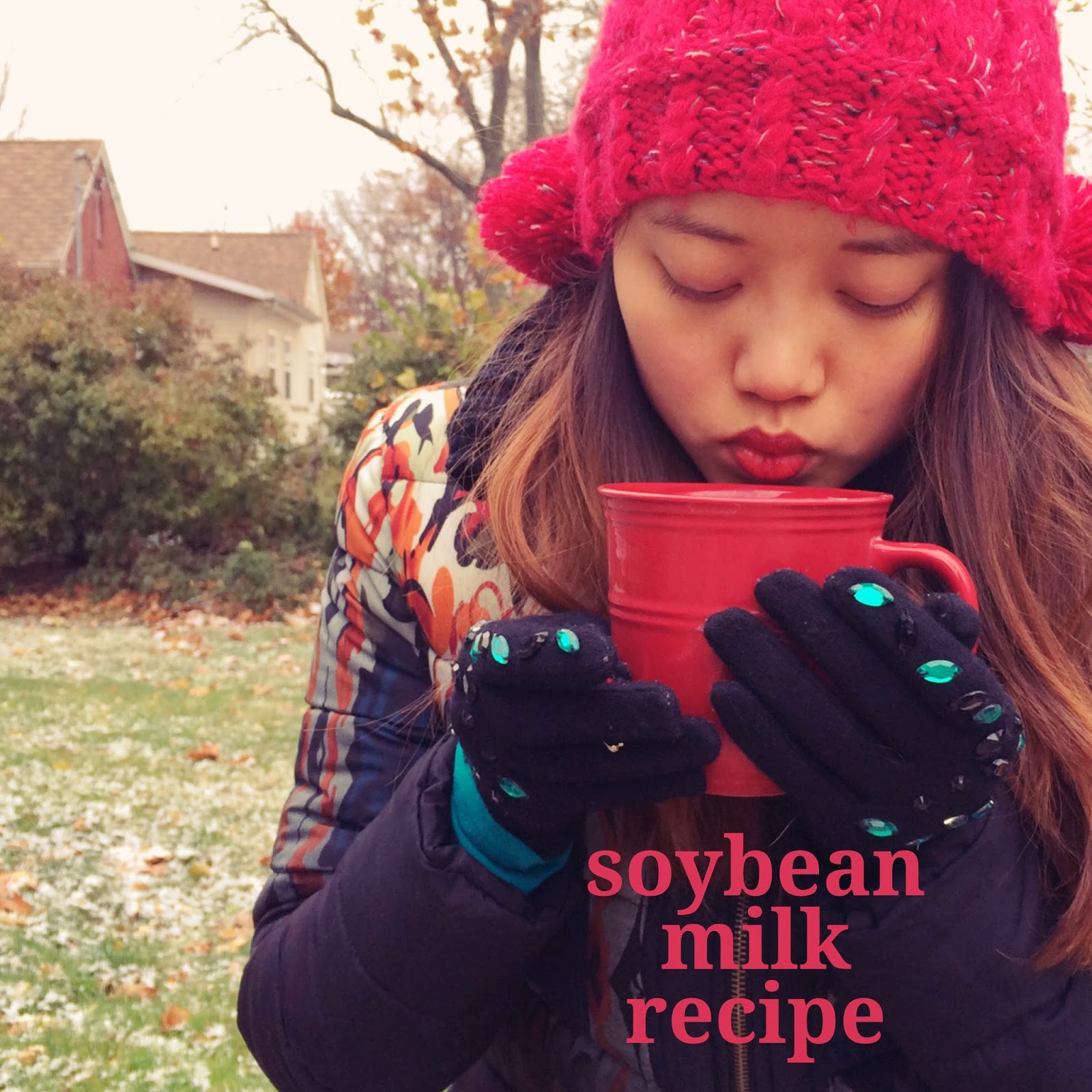 The Midnight Baker Soybean Milk Recipe (with Video)