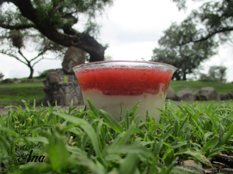 Pay de queso y fresas sin horno