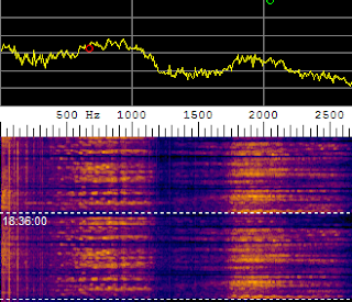 spectrumssb Spektrum CW Dan SSB
