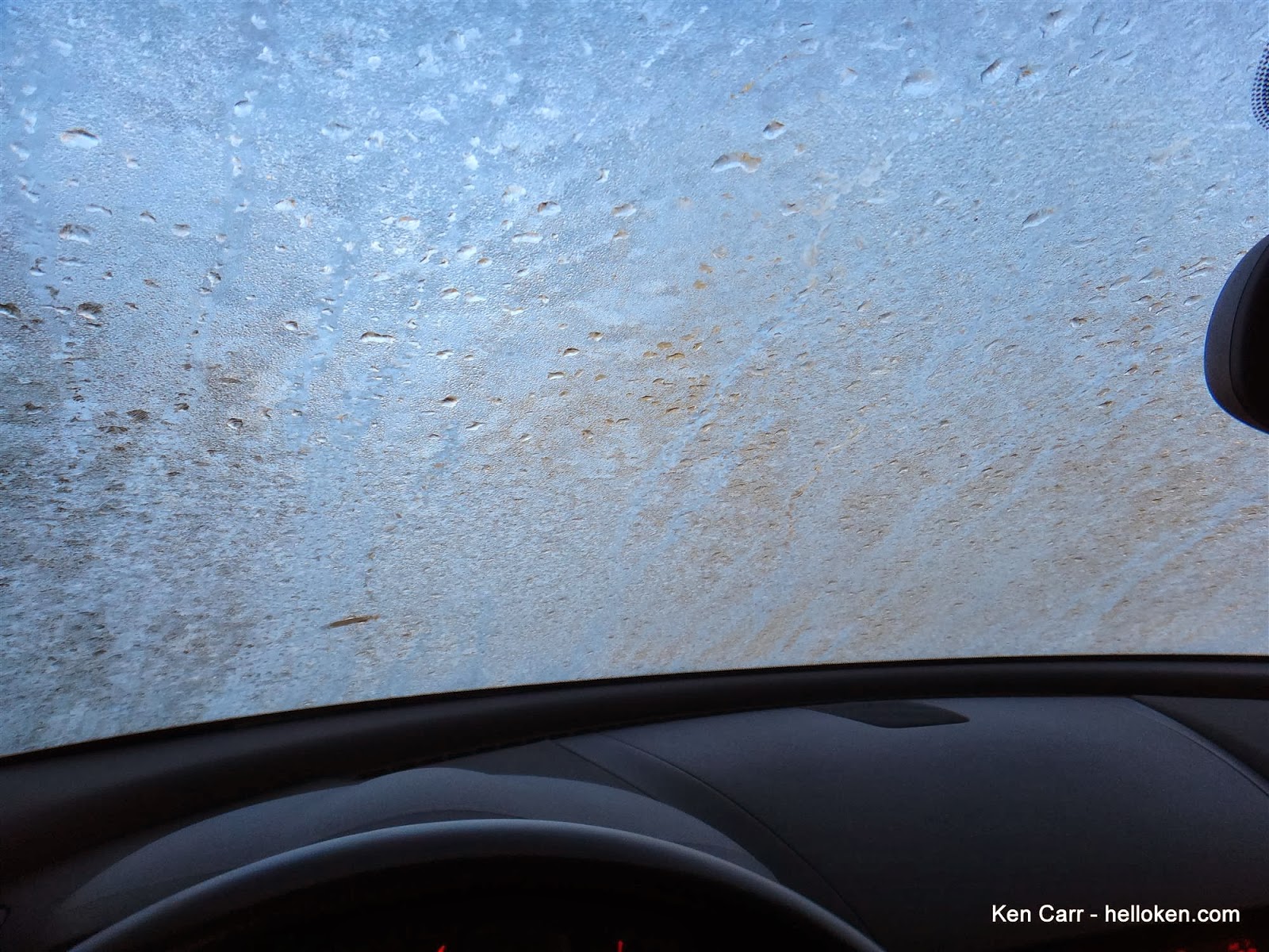 Strange sight during an unusually warm winter