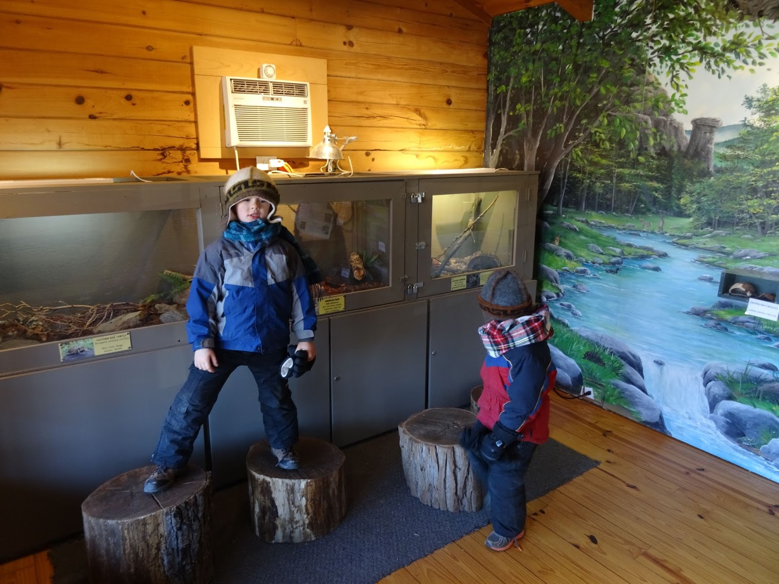 Femme au foyer Chimney Rock State Park