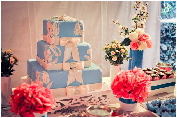 festa de 30 anos azul e rosa