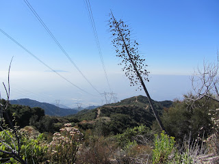 View south