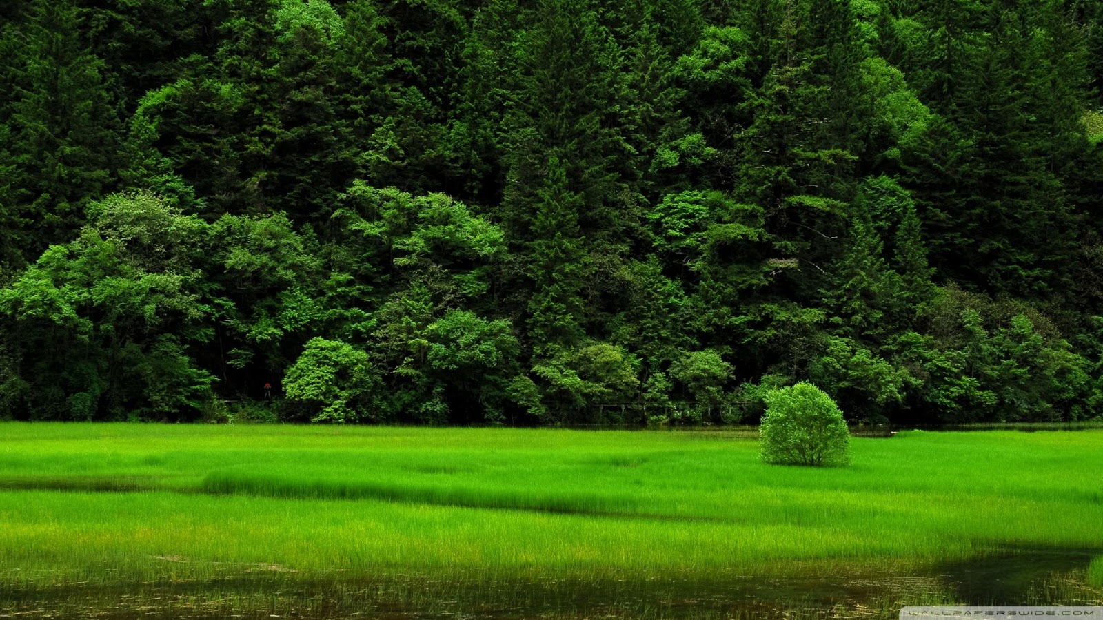 Nature Green: Go Green