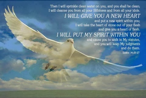 GOD PUTS HIS SPIRIT IN YOU