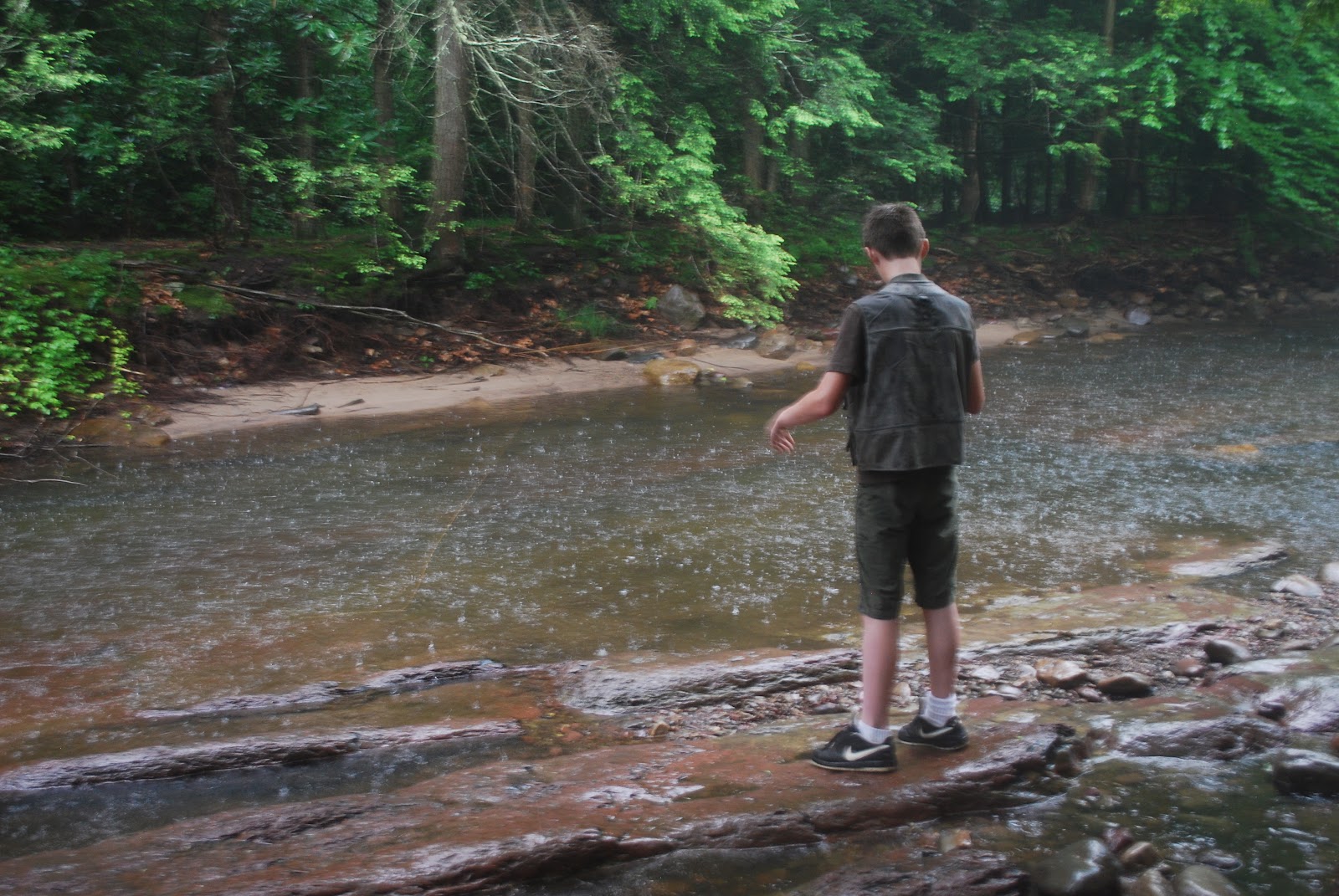 Litton's Fishing Lines Big Flatbrook Fly Fishing Brown Trout on Wooly