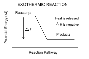CHEMISTREE11: February 16, 2011- Endothermic and Exothermic