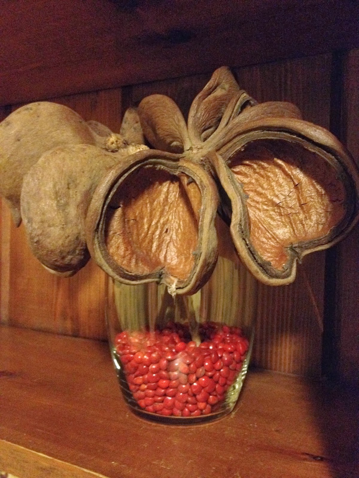 Monsoon Rains Seed, Seed pods and Paint A simple Craft DIY