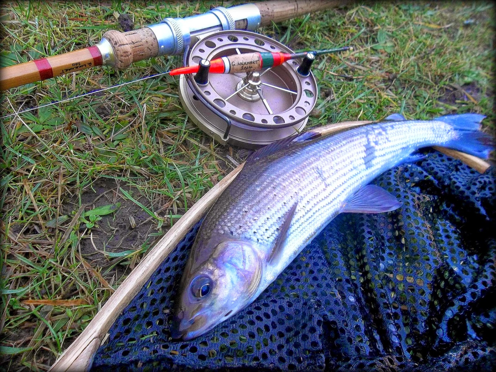 The Flee, Float & Foto Grayling Monday
