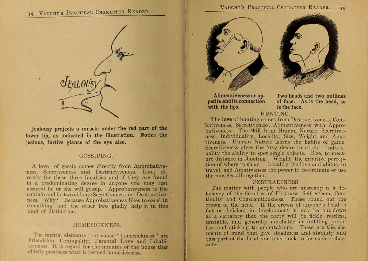 Pages from a weird phrenology book that claimed to ascertain a person s character by the shape of his head and other facial features  1902 - 2